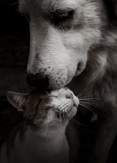 tender moment tender moment