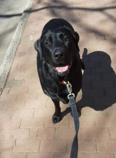 periwinkle svcs periwinkle svcs