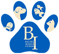 Business Insurers logo