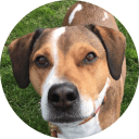 avatar home 1 avatar home 1