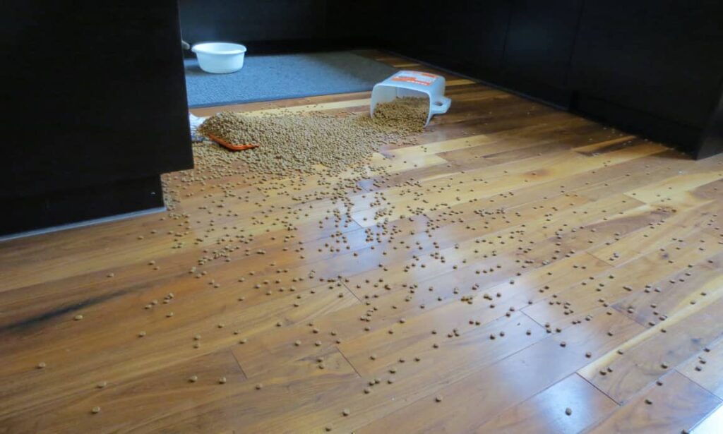 container of kibble scattered on floor